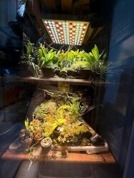 Seasons Park (D26), Condominium #543569391